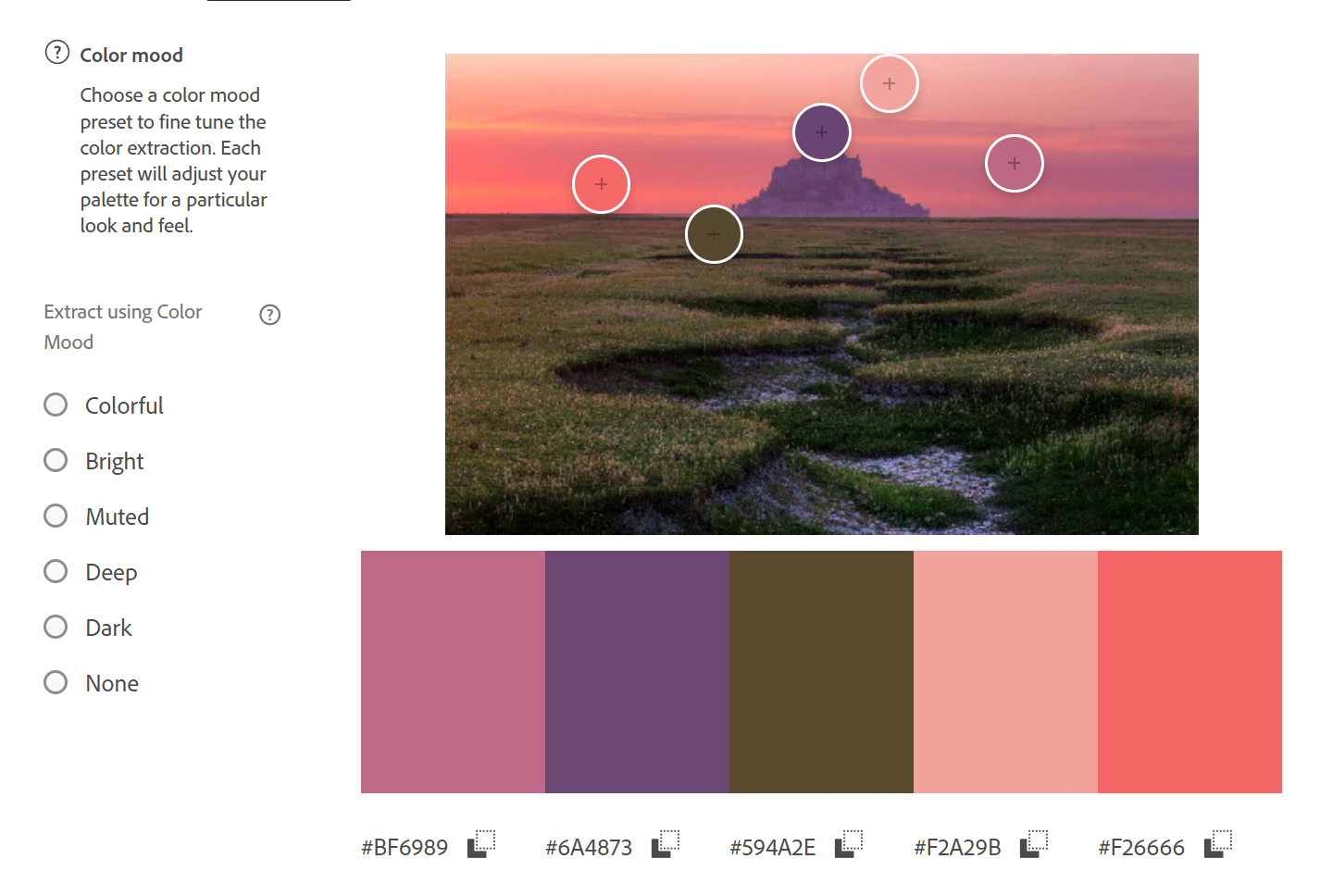 Adobe's Screenshot